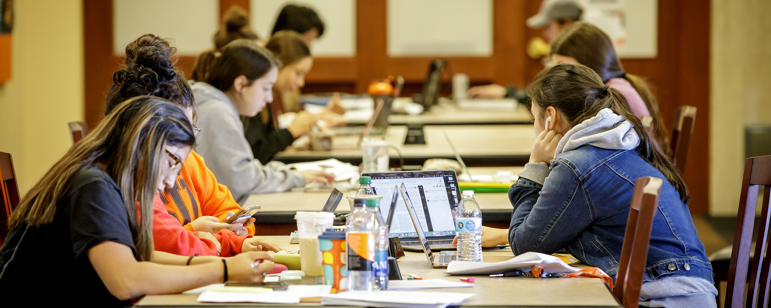 Students studying in the library. Students studying in the library.