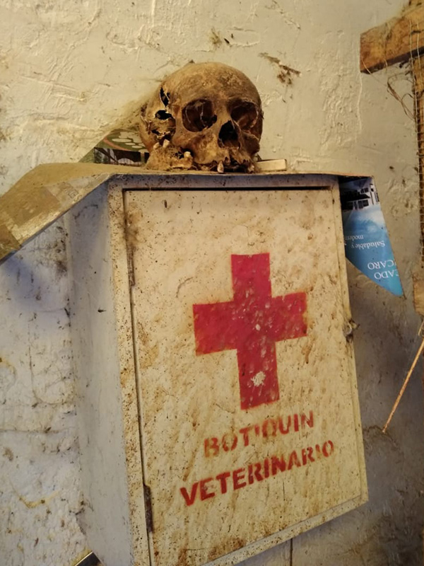 Skull sitting on top of a first aid kit.